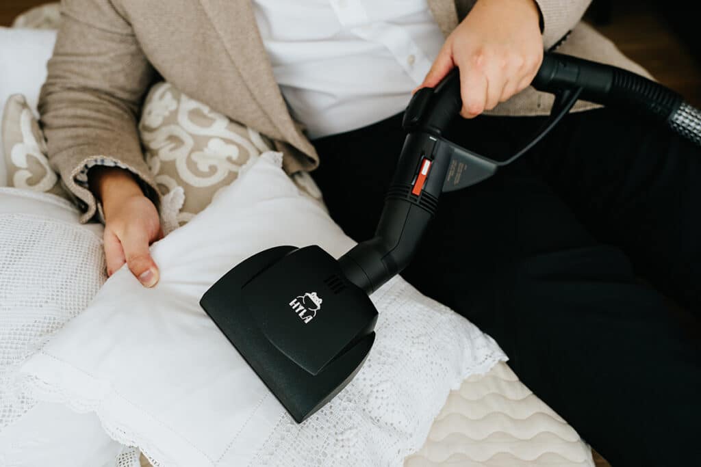 Hyla Handelektrobürste im Angebot im Mai