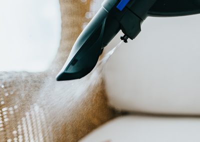 Hyla Webinar